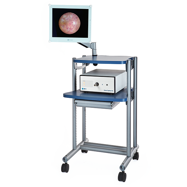 E4-endo-system